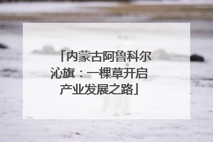 内蒙古阿鲁科尔沁旗：一棵草开启产业发展之路