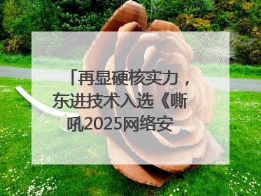 再显硬核实力，东进技术入选《嘶吼2025网络安全产业图谱》