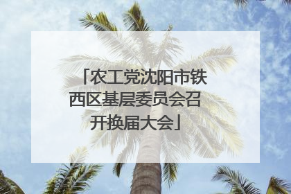 农工党沈阳市铁西区基层委员会召开换届大会