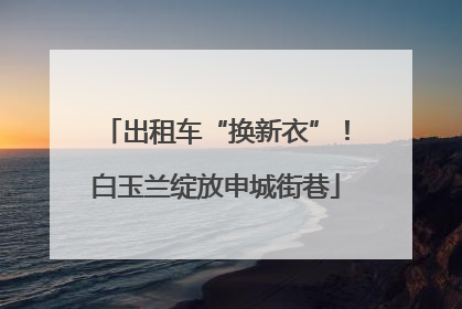 出租车“换新衣”！白玉兰绽放申城街巷