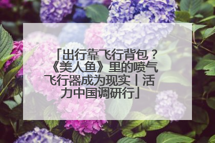 出行靠飞行背包？《美人鱼》里的喷气飞行器成为现实丨活力中国调研行