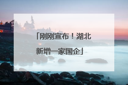 刚刚宣布！湖北新增一家国企