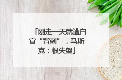 刚走一天就遭白宫“背刺”，马斯克：很失望