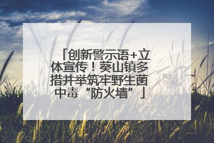 创新警示语+立体宣传！葵山镇多措并举筑牢野生菌中毒“防火墙”