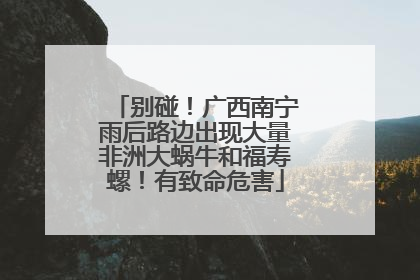 别碰！广西南宁雨后路边出现大量非洲大蜗牛和福寿螺！有致命危害