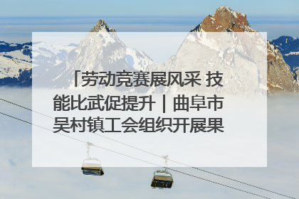 劳动竞赛展风采 技能比武促提升｜曲阜市吴村镇工会组织开展果树套袋技能竞赛
