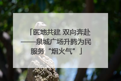 医地共建 双向奔赴——泉城广场升腾为民服务“烟火气”