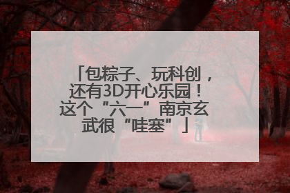 包粽子、玩科创，还有3D开心乐园！这个“六一”南京玄武很“哇塞”