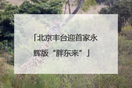 北京丰台迎首家永辉版“胖东来”