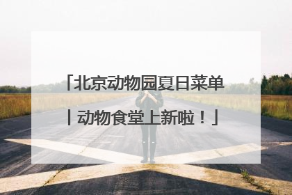 北京动物园夏日菜单丨动物食堂上新啦！