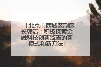 北京市西城区副区长郭洁：积极探索金融科技创新监管的新模式和新方法