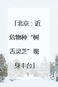 北京：近危物种“树舌灵芝”现身丰台