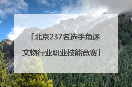 北京237名选手角逐文物行业职业技能竞赛