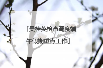 吴桂英检查调度端午假期重点工作