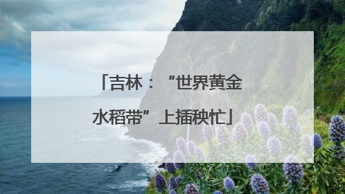 吉林：“世界黄金水稻带”上插秧忙