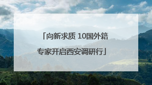 向新求质 10国外籍专家开启西安调研行