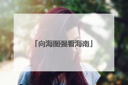向海图强看海南