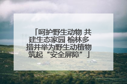 呵护野生动物 共建生态家园 榆林多措并举为野生动植物筑起“安全屏障”