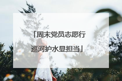 周末党员志愿行 巡河护水显担当