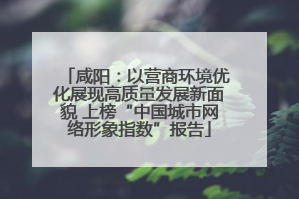 咸阳：以营商环境优化展现高质量发展新面貌 上榜“中国城市网络形象指数”报告