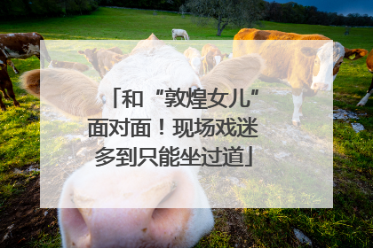 和“敦煌女儿”面对面！现场戏迷多到只能坐过道