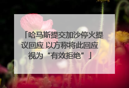哈马斯提交加沙停火提议回应 以方称将此回应视为“有效拒绝”