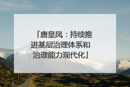 唐皇凤:持续推进基层治理体系和治理能力现代化