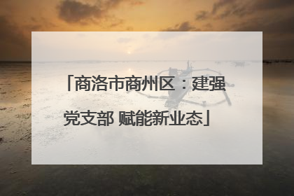 商洛市商州区：建强党支部 赋能新业态