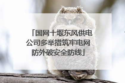 国网十堰东风供电公司多举措筑牢电网防外破安全防线