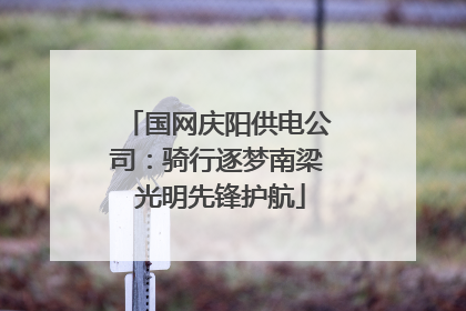 国网庆阳供电公司：骑行逐梦南梁 光明先锋护航