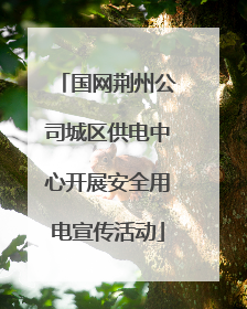 国网荆州公司城区供电中心开展安全用电宣传活动