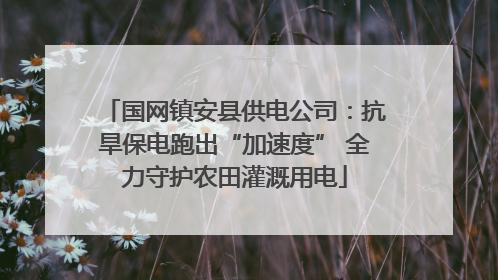 国网镇安县供电公司：抗旱保电跑出“加速度” 全力守护农田灌溉用电