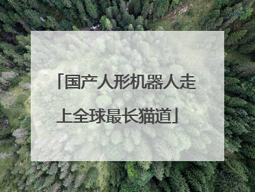 国产人形机器人走上全球最长猫道
