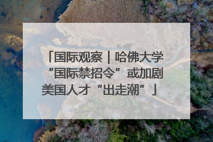 国际观察｜哈佛大学“国际禁招令”或加剧美国人才“出走潮”