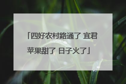 四好农村路通了 宜君苹果甜了 日子火了