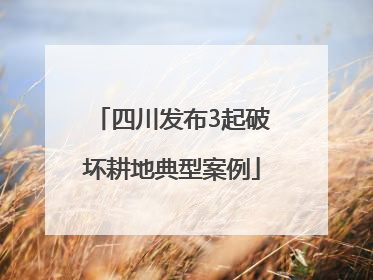 四川发布3起破坏耕地典型案例