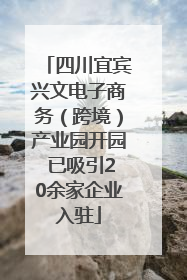 四川宜宾兴文电子商务（跨境）产业园开园 已吸引20余家企业入驻