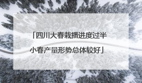 四川大春栽播进度过半 小春产量形势总体较好