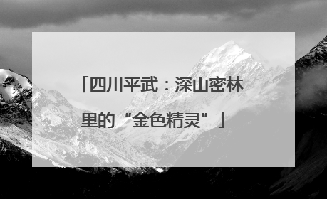 四川平武：深山密林里的“金色精灵”