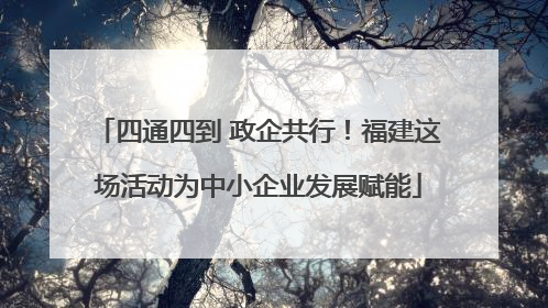 四通四到 政企共行！福建这场活动为中小企业发展赋能