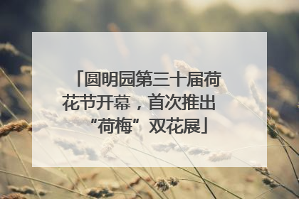 圆明园第三十届荷花节开幕，首次推出“荷梅”双花展