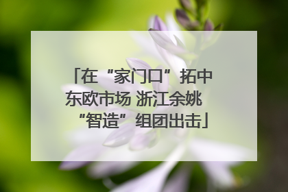 在“家门口”拓中东欧市场 浙江余姚“智造”组团出击