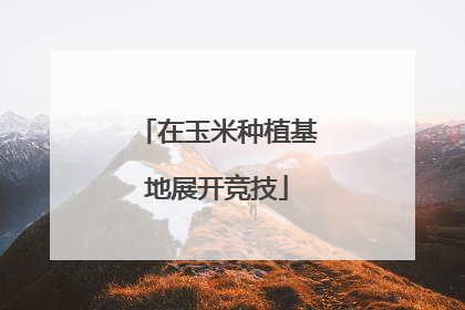 在玉米种植基地展开竞技