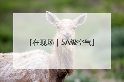 在现场｜5A级空气