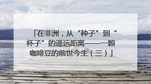 在非洲，从“种子”到“杯子”的遥远距离——一颗咖啡豆的前世今生（三）
