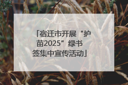 宿迁市开展“护苗2025”绿书签集中宣传活动