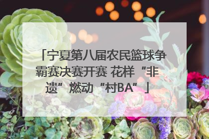 宁夏第八届农民篮球争霸赛决赛开赛 花样“非遗”燃动“村BA”
