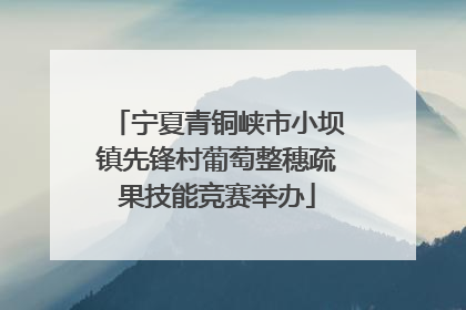 宁夏青铜峡市小坝镇先锋村葡萄整穗疏果技能竞赛举办