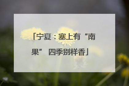 宁夏：塞上有“南果” 四季别样香