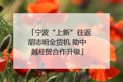 宁波“上新”往返胡志明全货机 助中越经贸合作升级